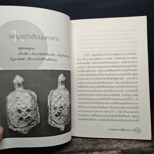 วัตถุมงคลและเครื่องรางของขลัง - ดามภ์ เสาเหม รูปที่ 9