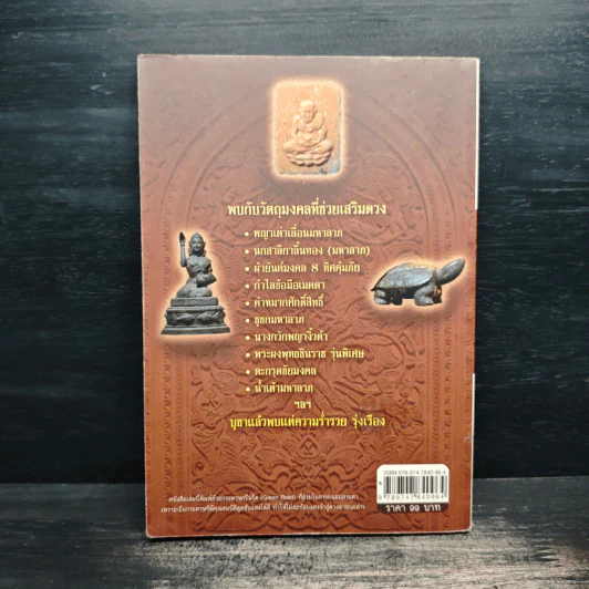 วัตถุมงคลและเครื่องรางของขลัง - ดามภ์ เสาเหม รูปที่ 2