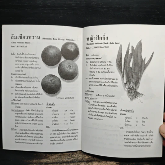เคล็ดวิธีแก้กรรม-ปัญหาชีวิต กินอย่างไร-ไร้โรคภัย รูปที่ 8