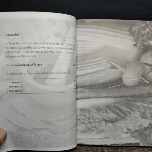 อาหารที่เป็นยา ตำรา อาหารยาจากปักกิ่งโภชนาบำบัด - ไฉ้ จิ่ง เฟิ่ง รูปที่ 9