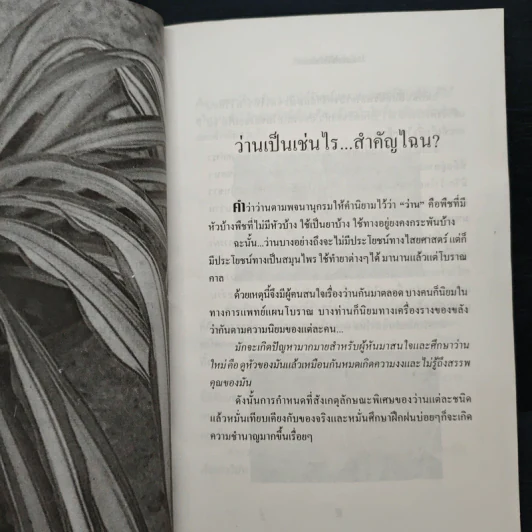 ว่าน ต้นไม้อัศจรรย์ - วันชนะ รูปที่ 8