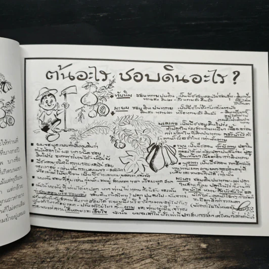 ขบวนการแก้จน เล่ม 4 รู้เรื่องต้นไม้ ไม่จน - ประยูร จรรยาวงศ์ รูปที่ 9