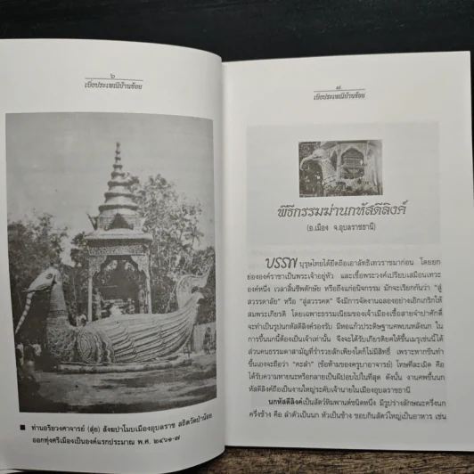 เบิ่งประเพณีบ้านข้อย - เจริญ ตันมหาพราน รูปที่ 8
