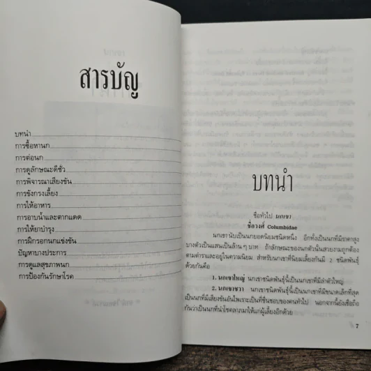 นกเขา - ชาติ ไชยณรงค์ รูปที่ 7