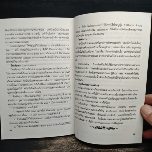 นกเขา - ชาติ ไชยณรงค์ รูปที่ 9