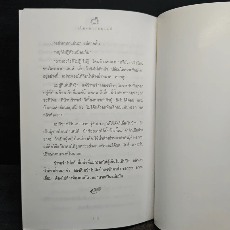 เรื่องลาวของแม่ - อรุณวดี อรุณมาศ รูปที่ 9
