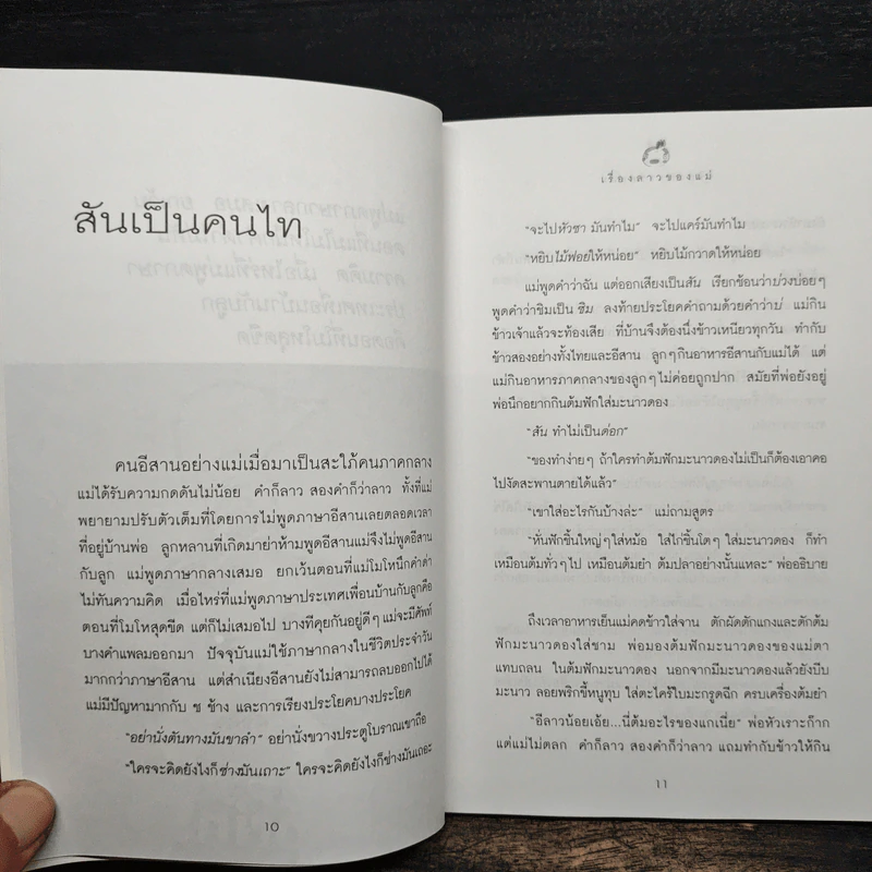 เรื่องลาวของแม่ - อรุณวดี อรุณมาศ รูปที่ 8