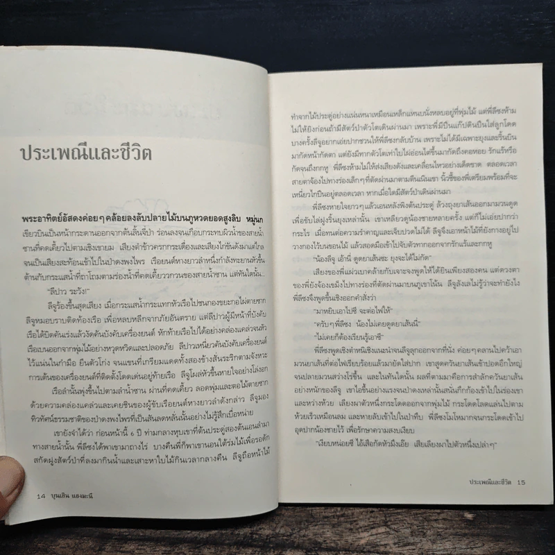 ใบไม้ใบสุดท้าย - บุนเสิน แสงมะนี รูปที่ 9