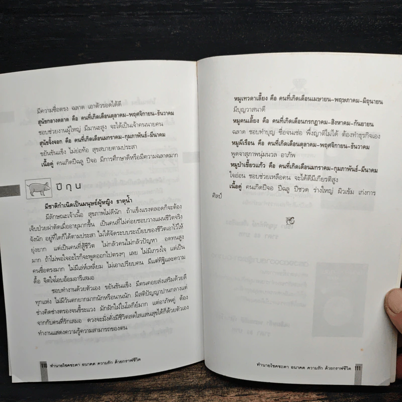 ทำนายโชคชะตา อนาคต ความรัก ด้วยกราฟชีวิต - ศักดิเดช ถิรบุตร รูปที่ 10