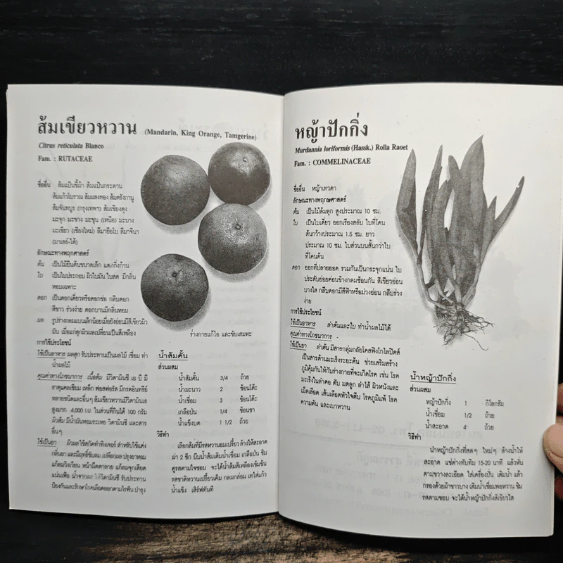 เคล็ดวิธีแก้กรรม-ปัญหาชีวิต กินอย่างไร-ไร้โรคภัย รูปที่ 8