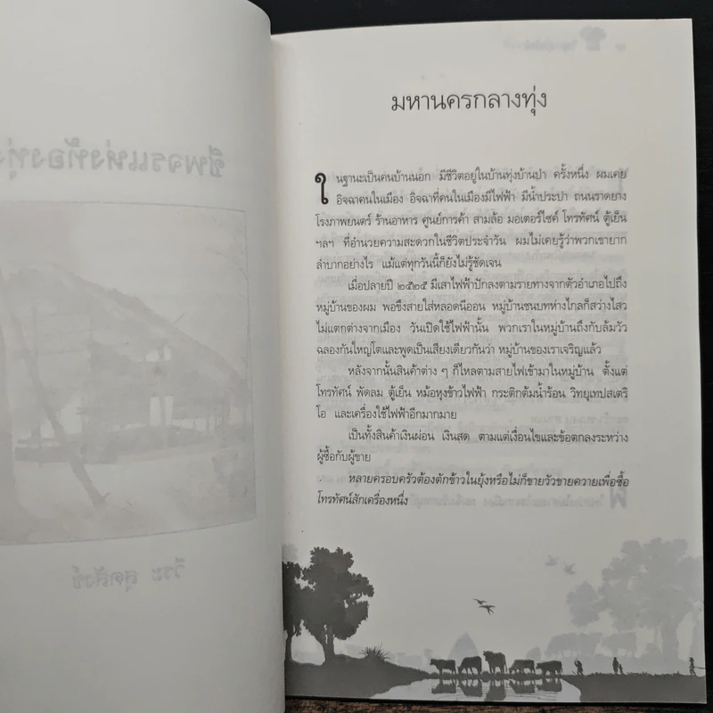 ชีพจรแห่งท้องทุ่ง - วีระ สุดสังข์ รูปที่ 8