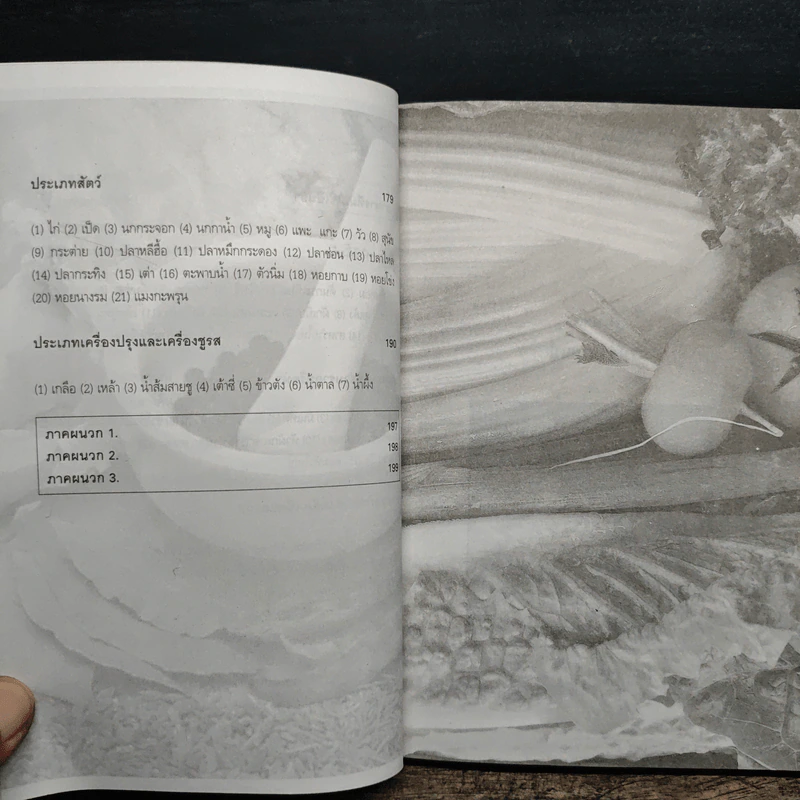 อาหารที่เป็นยา ตำรา อาหารยาจากปักกิ่งโภชนาบำบัด - ไฉ้ จิ่ง เฟิ่ง รูปที่ 9
