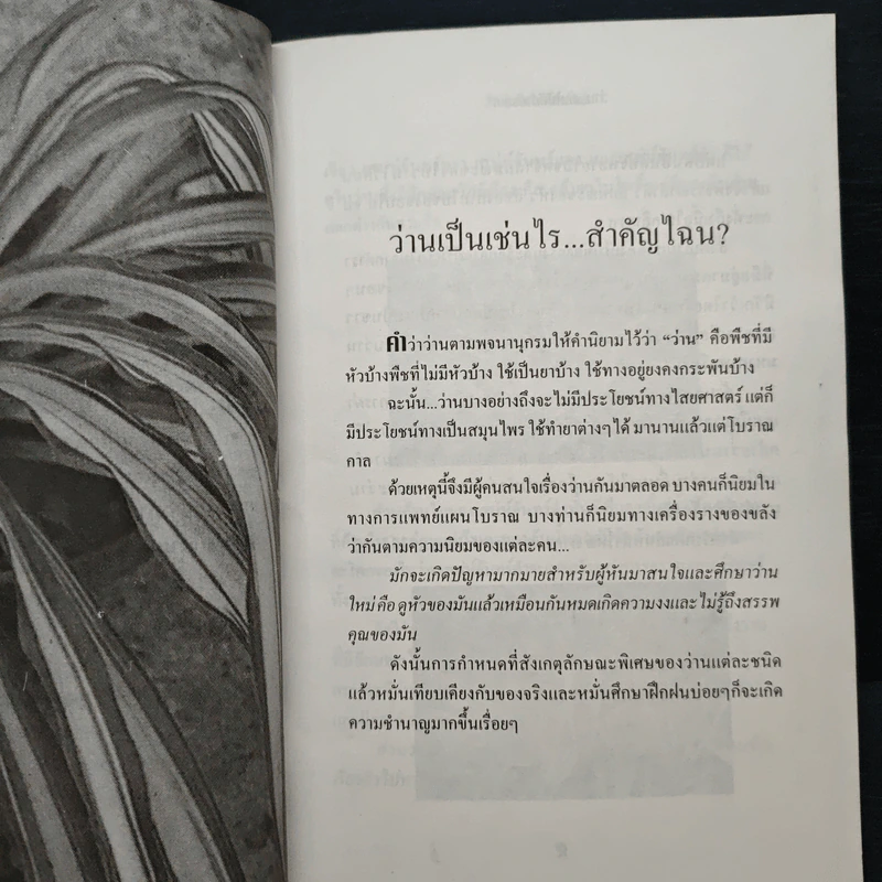 ว่าน ต้นไม้อัศจรรย์ - วันชนะ รูปที่ 8