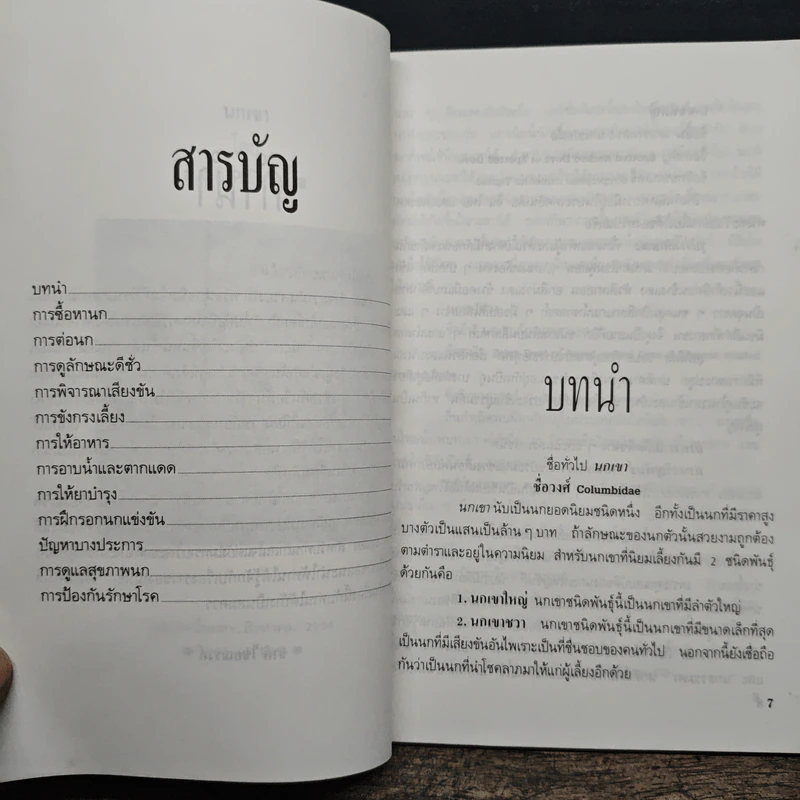 นกเขา - ชาติ ไชยณรงค์ รูปที่ 7