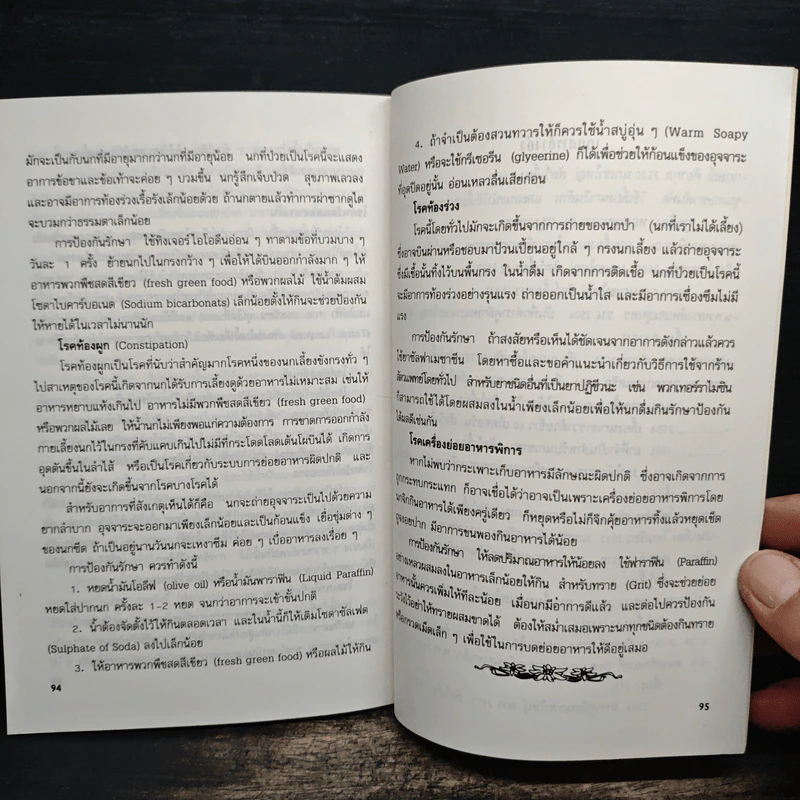 นกเขา - ชาติ ไชยณรงค์ รูปที่ 9