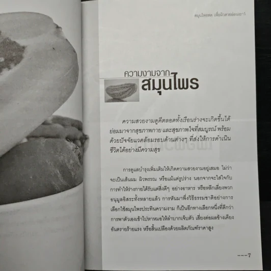 สมุนไพรสดเพื่อผิวสวย อ่อนเยาว์ - บุหงารำไพ รูปที่ 8
