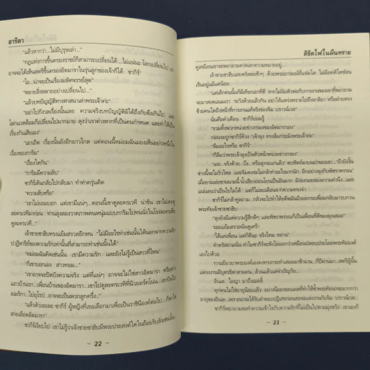 ✔️ลิขิตไฟในผืนทราย - อาริตา รูปที่ 8