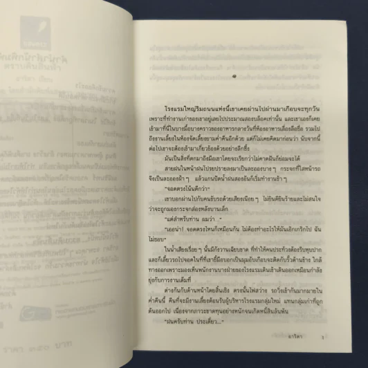 ✔️ตราบดินสิ้นฟ้า - อาริตา รูปที่ 7