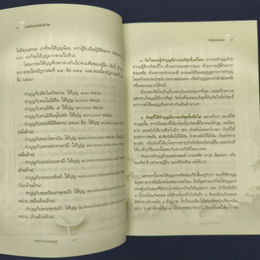 บุญใหญ่พลิกชีวิต - ณัฐพบธรรม รูปที่ 8