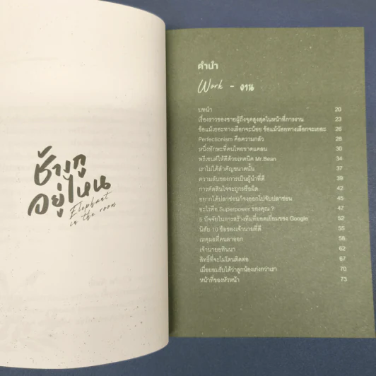 Elephant in the Room ช้างกูอยู่ไหน - อานนทวงศ์ มฤคพิทักษ์ รูปที่ 7