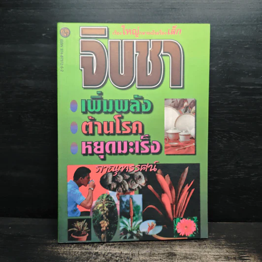 จิบชา เพิ่มพลัง ต้านโรค หยุดมะเร็ง - ภาณุทรรศน์ รูปที่ 1
