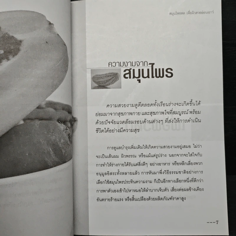 สมุนไพรสดเพื่อผิวสวย อ่อนเยาว์ - บุหงารำไพ รูปที่ 8