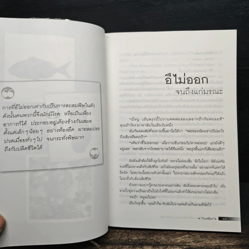 เรื่องเล่าชาวไข้ - ใบเหมียง รูปที่ 9