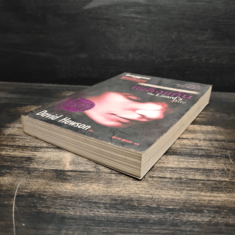 เพลิงแค้น The Lizard's Bite - David Hewson รูปที่ 4