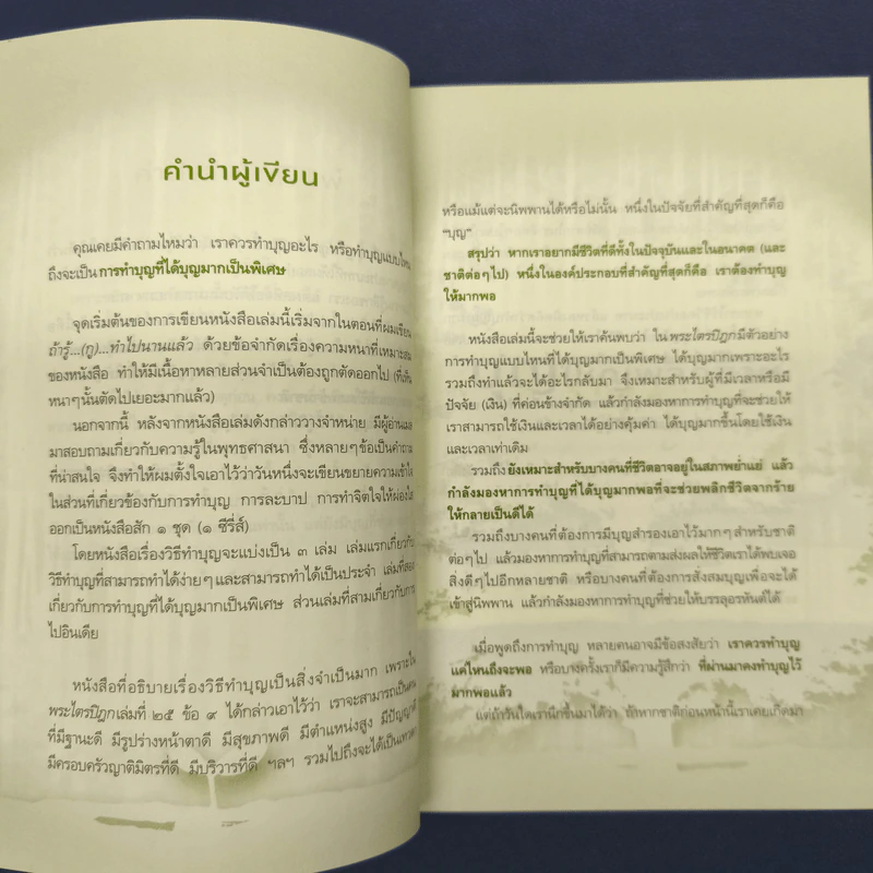 บุญใหญ่พลิกชีวิต - ณัฐพบธรรม รูปที่ 7
