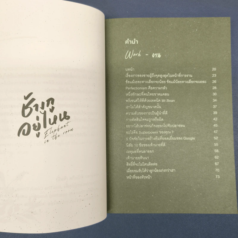 Elephant in the Room ช้างกูอยู่ไหน - อานนทวงศ์ มฤคพิทักษ์ รูปที่ 7