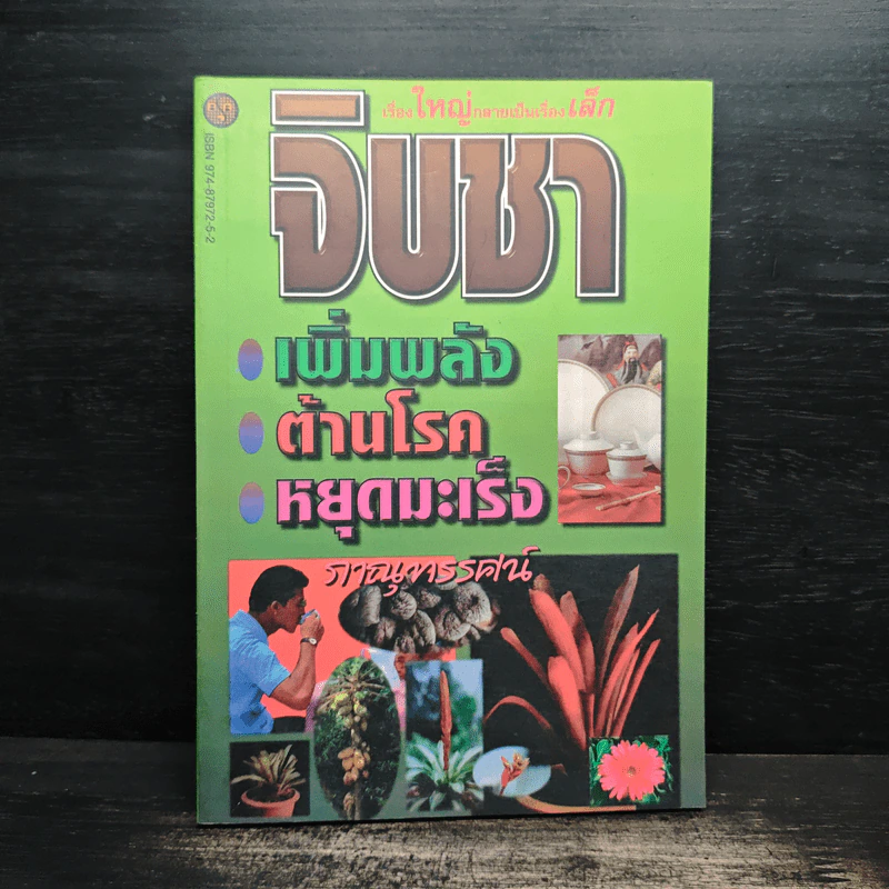 จิบชา เพิ่มพลัง ต้านโรค หยุดมะเร็ง - ภาณุทรรศน์ รูปที่ 1