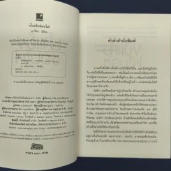 น้ำแข็งซ่อนไฟ - อาริตา รูปที่ 6