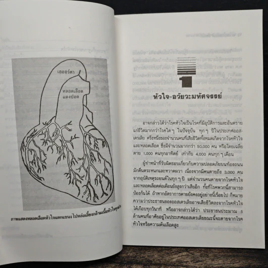 ธรรมชาติบำบัดป้องกันรักษาโรคหัวใจ บทบาทของอาหารและวิตามิน รูปที่ 9