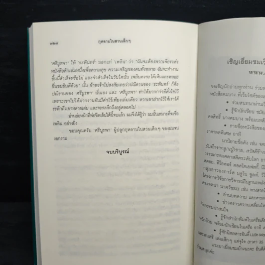 กุหลาบในสวนเล็กๆ - ชมัยภร แสงกระจ่าง รูปที่ 8