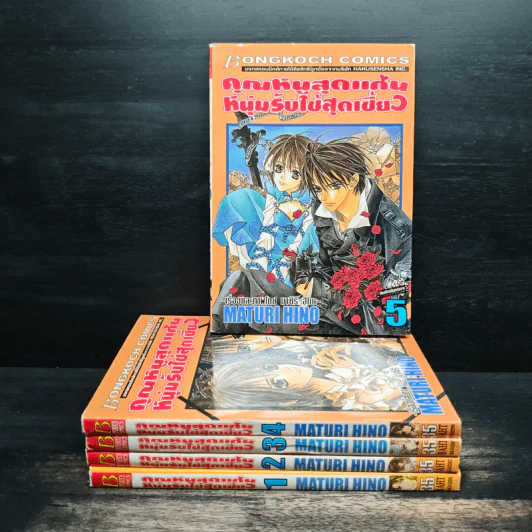 คุณหนูสุดแก่น หนุ่มรับใช้สุดเซี้ยว เล่ม 1-5 รูปที่ 1
