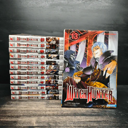 WITCH HUNTER วิช ฮันเตอร์ ขบวนการล่าแม่มด เล่ม 1-13 รูปที่ 1
