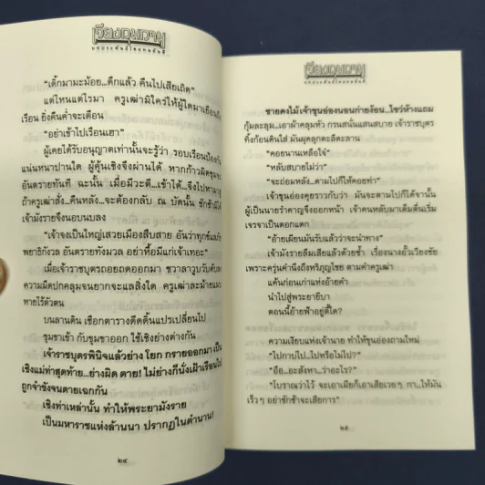 เวียงกุมกาม - ทมยันตี รูปที่ 8