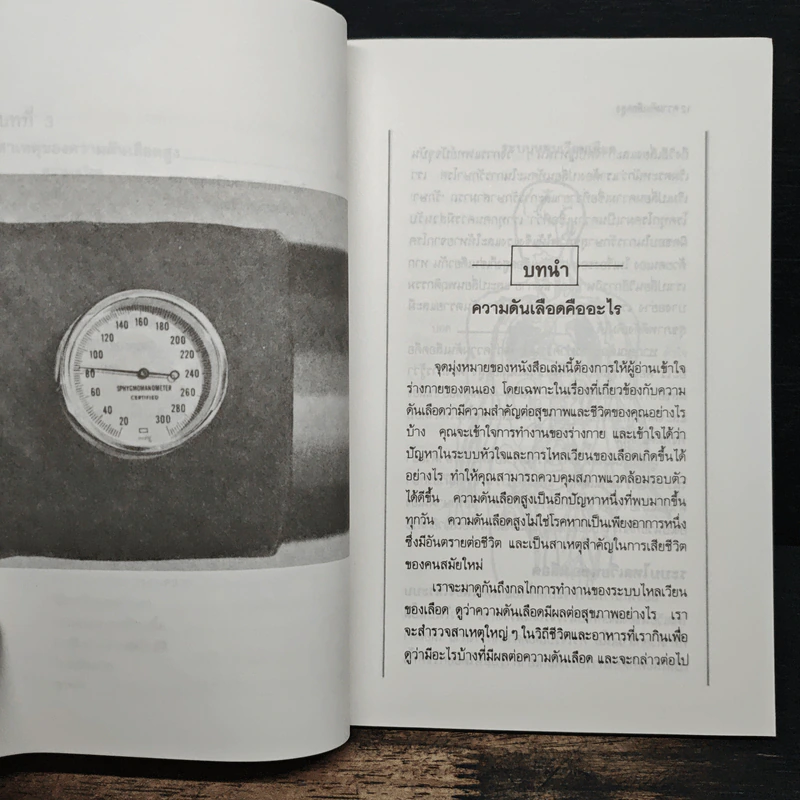ธรรมชาติบำบัด ความดันเลือดสูง - นพ.ไพบูลย์ จาตุรปัญญา รูปที่ 9