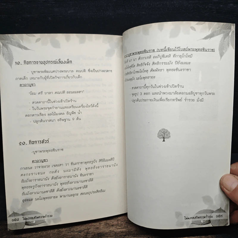 ไม้มงคล เสริมความร่ำรวย - อ.รตี พร้อมพรชัย รูปที่ 9