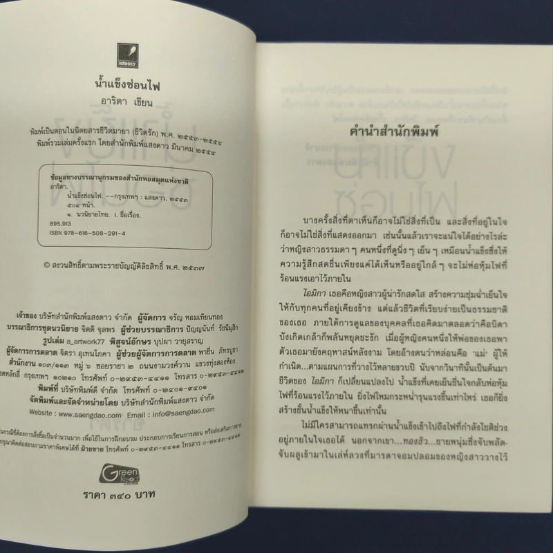 น้ำแข็งซ่อนไฟ - อาริตา รูปที่ 6