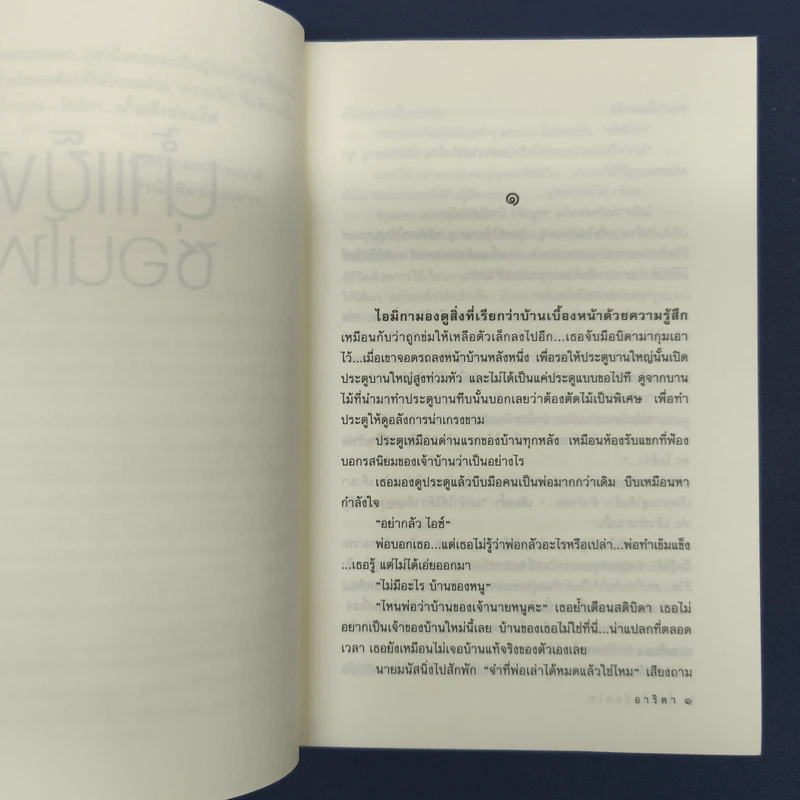น้ำแข็งซ่อนไฟ - อาริตา รูปที่ 7
