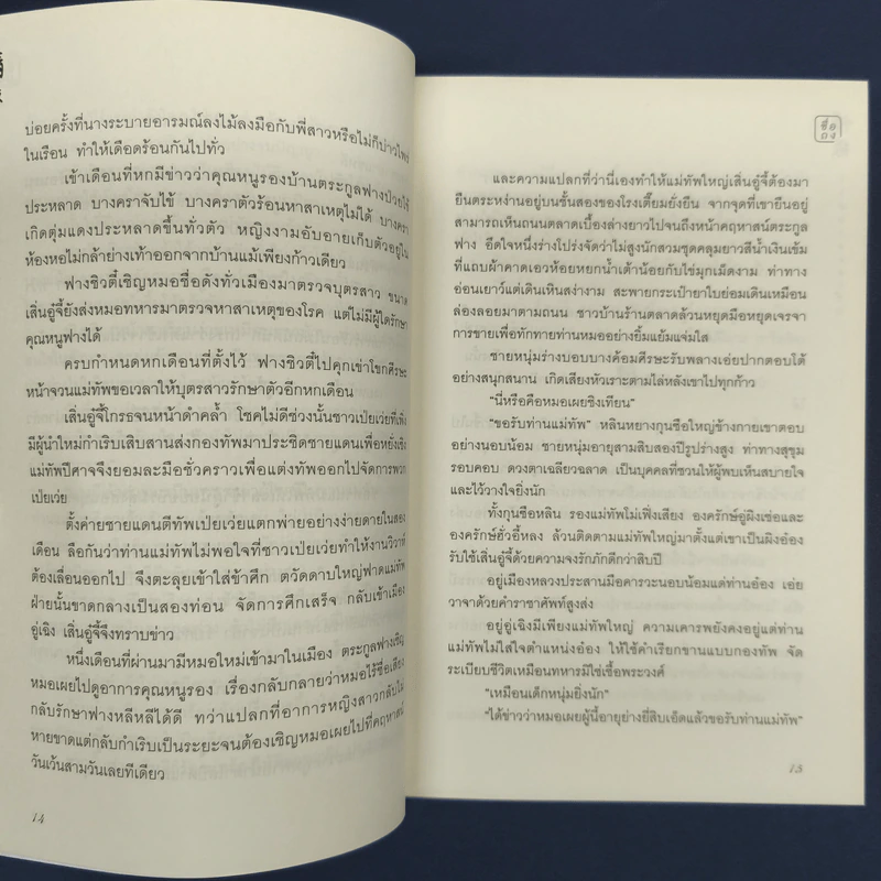 วาสนาชะตารัก - ชื่อถง รูปที่ 9
