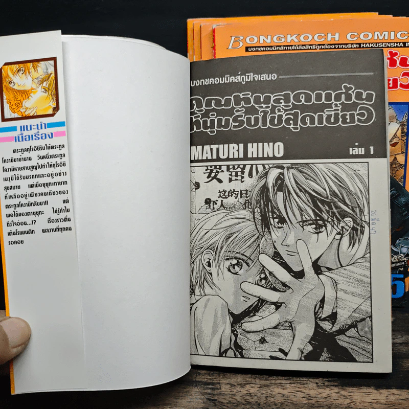 คุณหนูสุดแก่น หนุ่มรับใช้สุดเซี้ยว เล่ม 1-5 รูปที่ 5