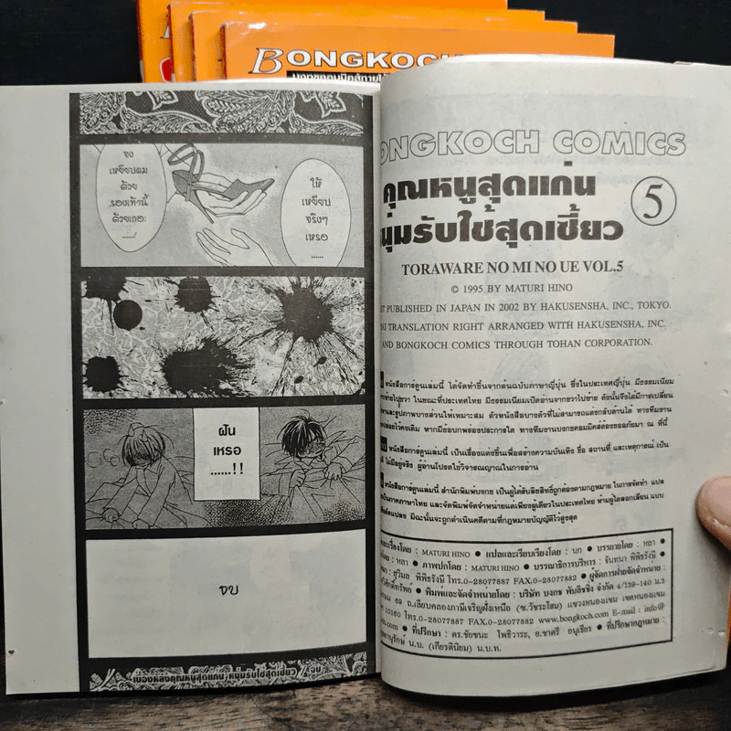 คุณหนูสุดแก่น หนุ่มรับใช้สุดเซี้ยว เล่ม 1-5 รูปที่ 9