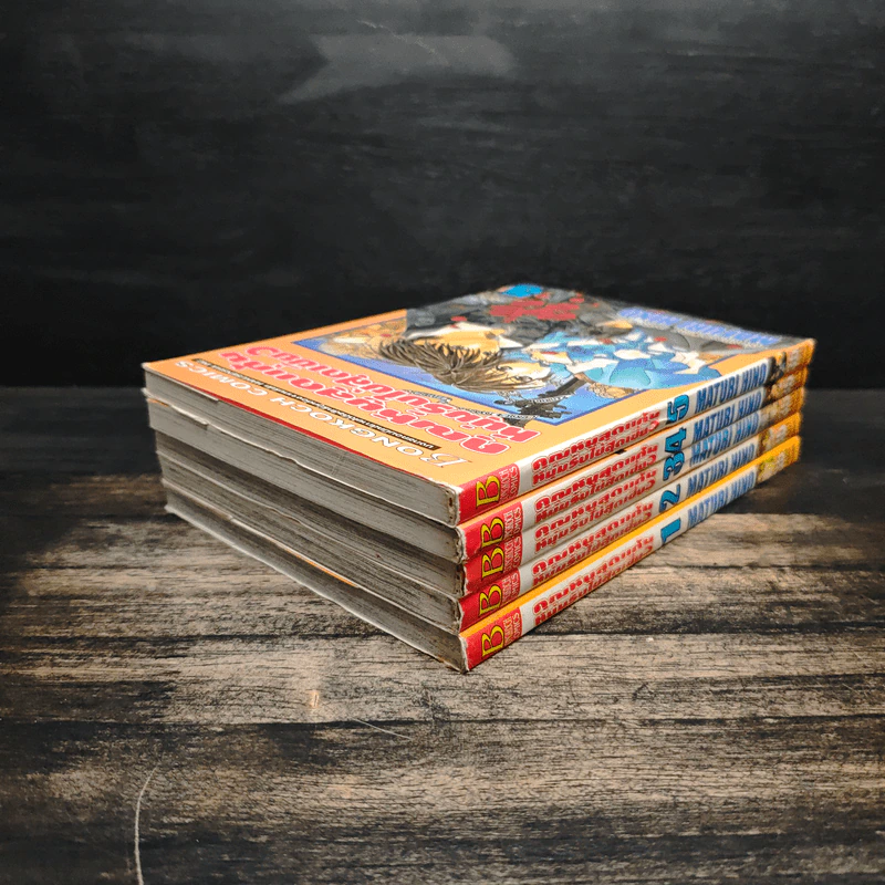คุณหนูสุดแก่น หนุ่มรับใช้สุดเซี้ยว เล่ม 1-5 รูปที่ 4