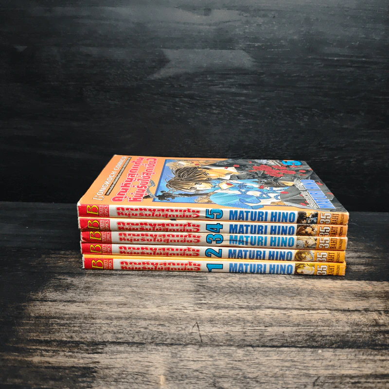 คุณหนูสุดแก่น หนุ่มรับใช้สุดเซี้ยว เล่ม 1-5 รูปที่ 2