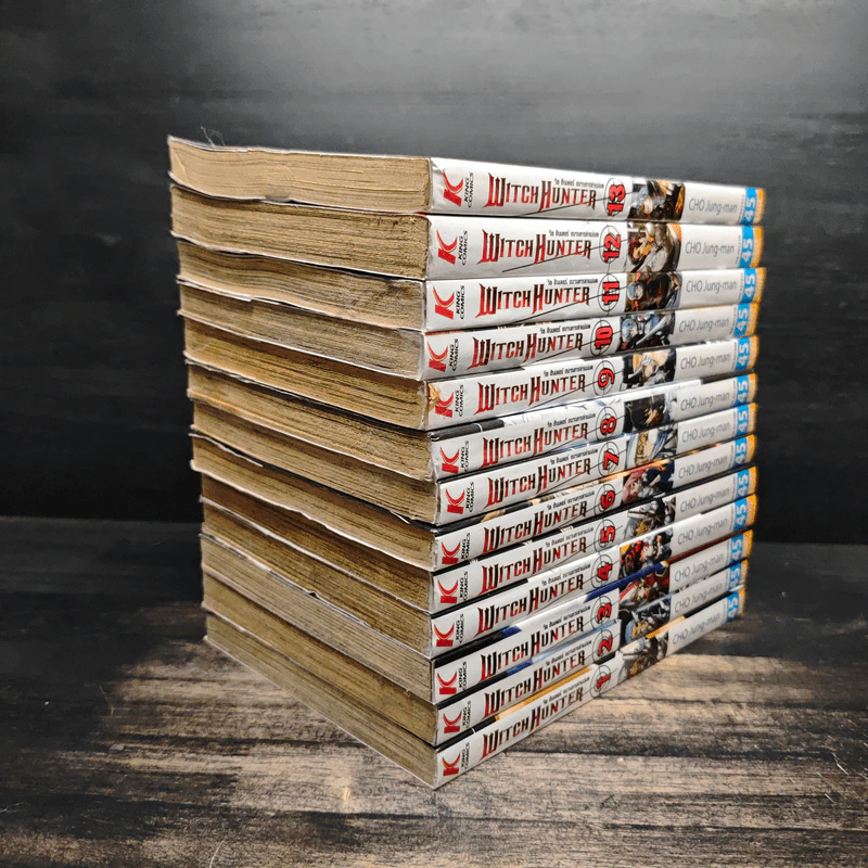WITCH HUNTER วิช ฮันเตอร์ ขบวนการล่าแม่มด เล่ม 1-13 รูปที่ 4