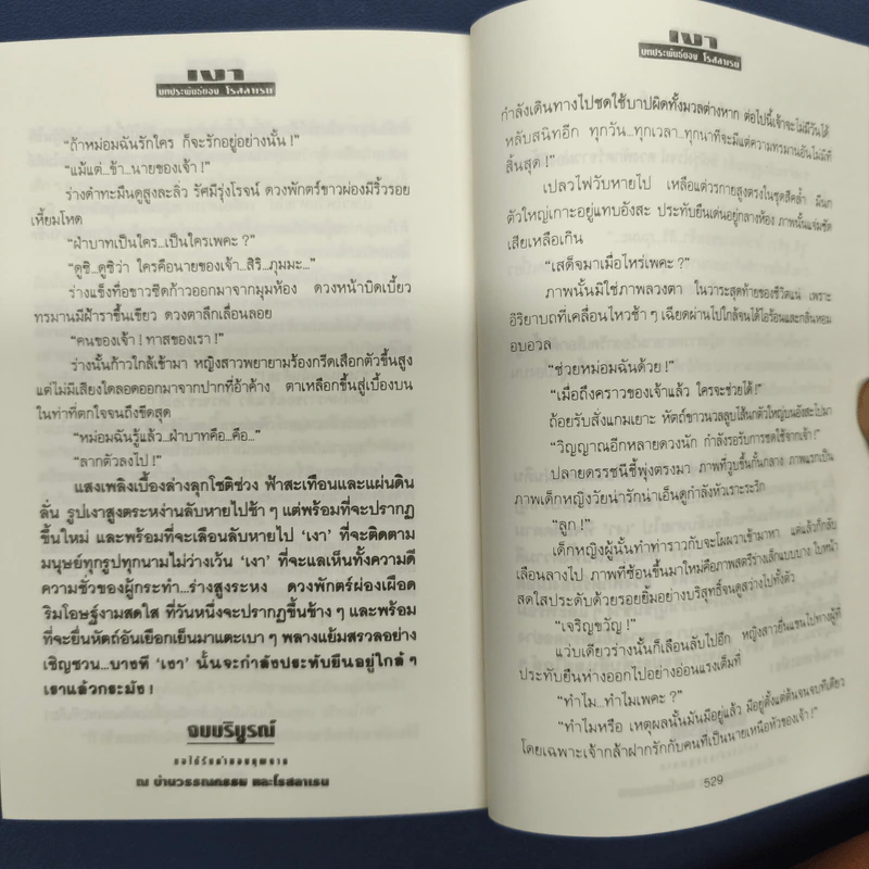 ✔️เงา 2 เล่มจบ - โรสลาเรน รูปที่ 8