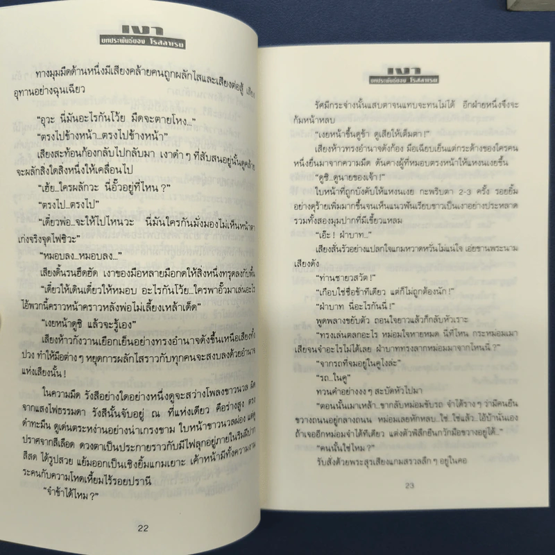 ✔️เงา 2 เล่มจบ - โรสลาเรน รูปที่ 7