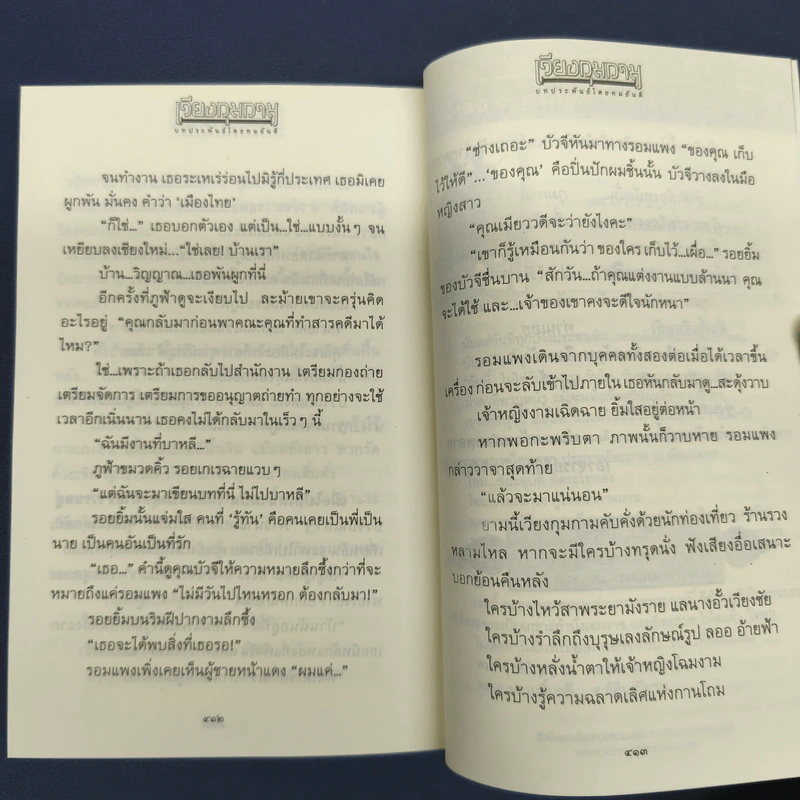 เวียงกุมกาม - ทมยันตี รูปที่ 9
